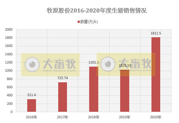 【2020年报】牧原股份2020年净利增长350%,拟派现金55亿元