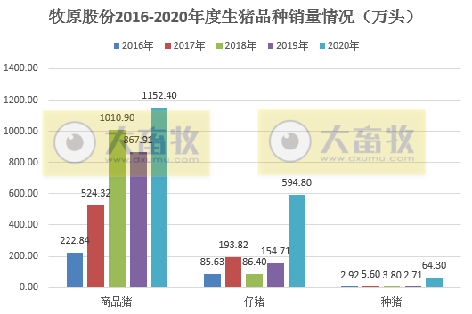 【2020年报】牧原股份2020年净利增长350%,拟派现金55亿元