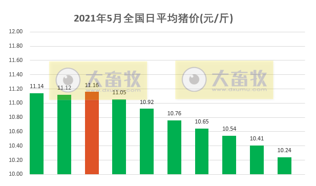 2021.5.10-今日猪价绿油油，西南全部进入9元时代，新希望1季度外购仔猪育肥成本远超30元，天邦4月生猪销量环跌4成，生猪板块和期货均下跌