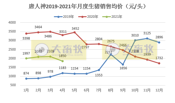 唐人神:前4月生猪销量同比增长近250%,完成年度任务的3成