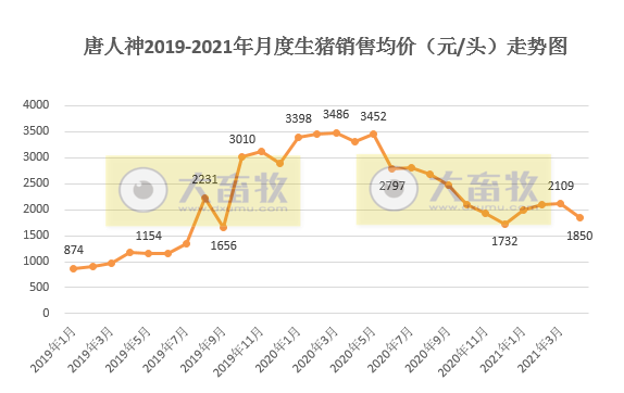 唐人神:前4月生猪销量同比增长近250%,完成年度任务的3成