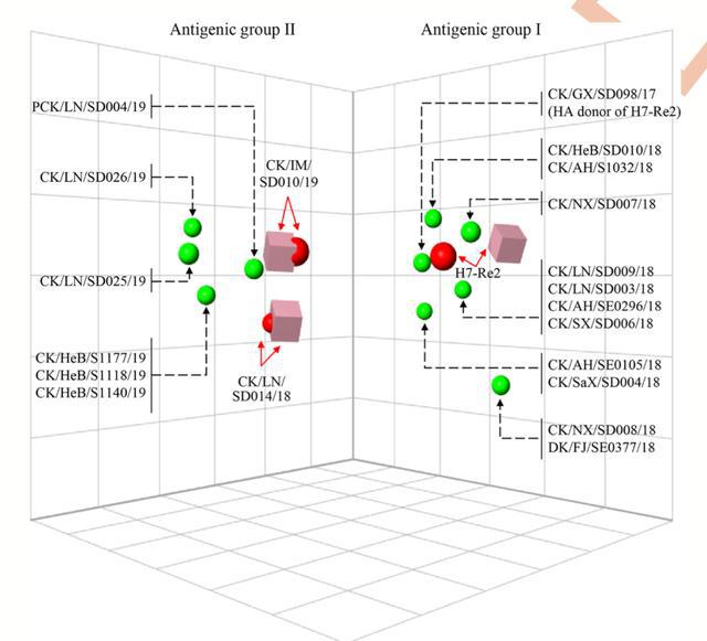 陈化兰院士团队：中国禽流感病毒变异新发现