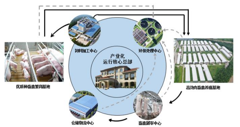 温氏模式3.0：“公司+现代养殖小区”到底是怎样的？