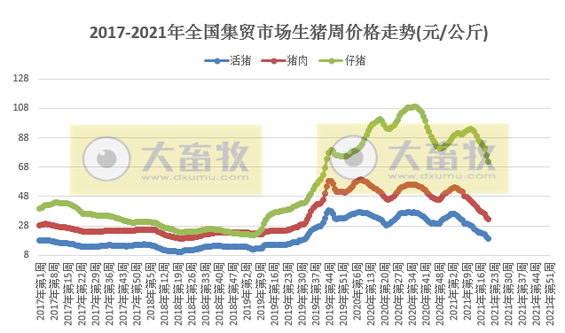 2021.5.25-今日猪价继续下行再创新低，仔猪价格下跌至20个月低点，猪业寒冬来了吗？京基智农首个楼房猪场项目成功分娩