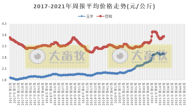 2021.5.25-今日猪价继续下行再创新低，仔猪价格下跌至20个月低点，猪业寒冬来了吗？京基智农首个楼房猪场项目成功分娩