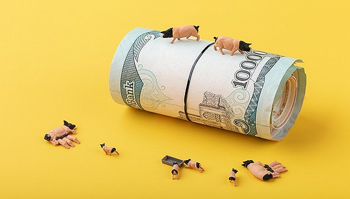 如何应对养猪低盈利时代？