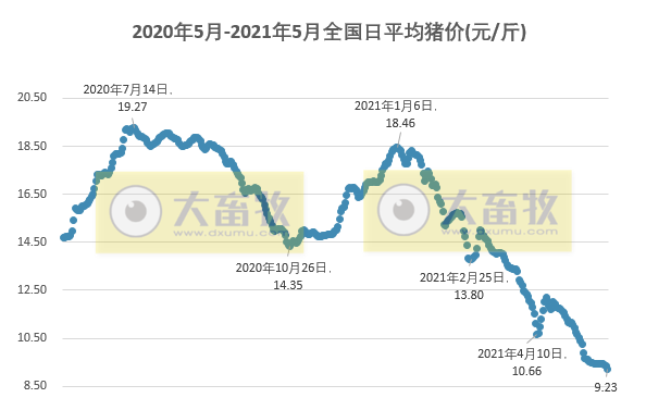 2021.5.27-今日猪价再创新低，广东、江西和山东多地再现拆猪场，广东培育出首例克隆粤东黑猪，1季度猪肉合格率达98.9%