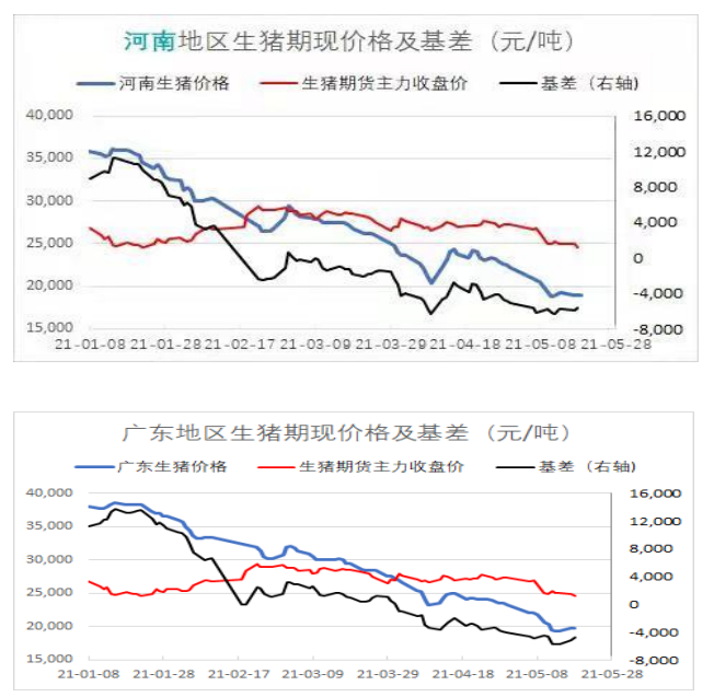 金新农回复年报问询函，解释生猪期货亏损详情
