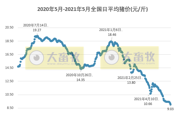 2021.5.28-今日猪价创新低，较年初跌五成，东北进入7字头，云南生猪第一股神农集团今日上市，国内首次同时克隆出苏淮公猪和母猪