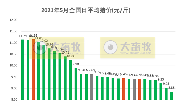 2021.5.29-今日全国生猪均价跌破9元大关,专家说猪价有望反弹但幅度不会太大,和平东瑞公司高床生态养殖项目建成投产