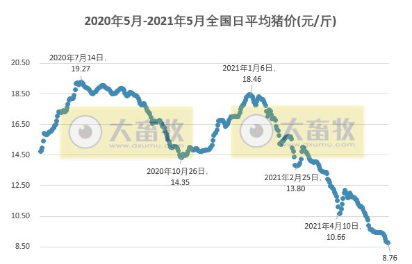2021年5月生猪行业数据汇总