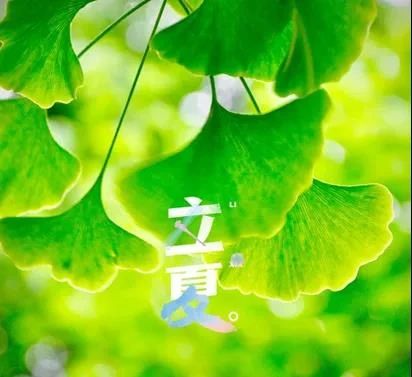2021.5.5-今日猪价再次跌破11元,5大上市猪企17人年薪破400万,正邦高管薪酬堪称雷锋组合
