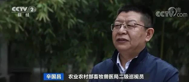 农业农村部:能繁母猪存栏连续19个月增长,猪粮比或退出生猪养殖盈利评判指标