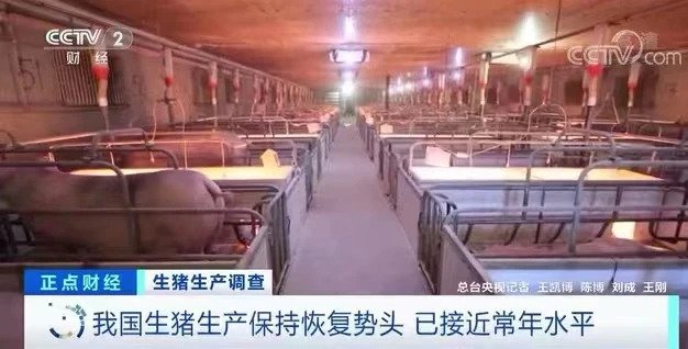 农业农村部:能繁母猪存栏连续19个月增长,猪粮比或退出生猪养殖盈利评判指标