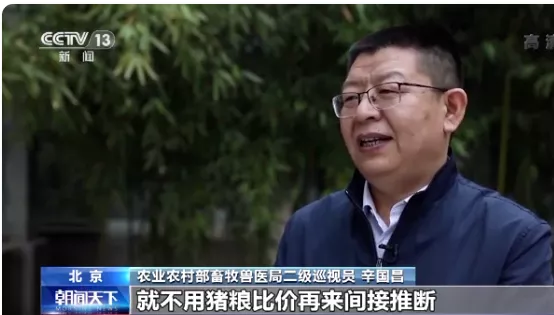 农业农村部:能繁母猪存栏连续19个月增长,猪粮比或退出生猪养殖盈利评判指标