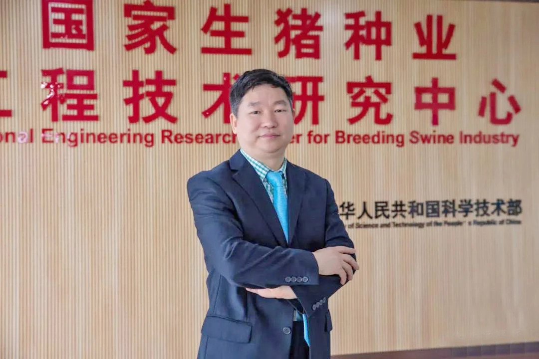 温氏和华农联手,广东首例克隆粤东黑猪诞生,保护濒危地方猪种