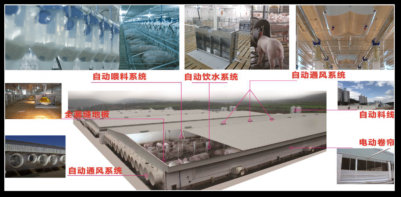 生猪板块新增一股,云南神农集团挂牌上市