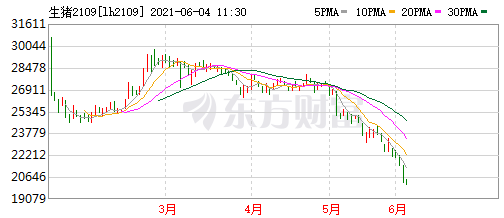 2021.6.4-今日猪价绿油油，多地进入7字头，较年初跌10元，生猪期货创新低，东瑞5月内销肉猪均价跌破10元，江西某兽药企业飞行检查被通报