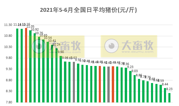 2021.6.5-今日猪价全面下跌，玉米价格上涨豆粕下跌，牧原5月生猪收入环比下降14%，新希望前5个月猪饲料销量翻倍