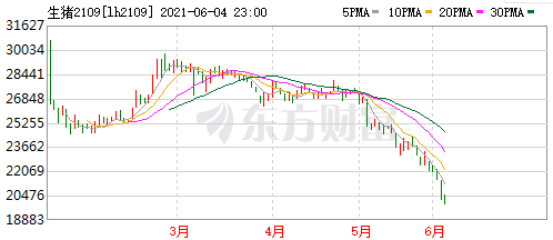 2021.6.5-今日猪价全面下跌，玉米价格上涨豆粕下跌，牧原5月生猪收入环比下降14%，新希望前5个月猪饲料销量翻倍