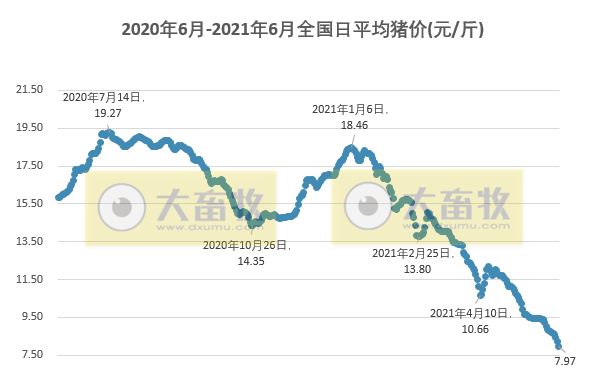 2021.6.6-今日猪价东北跌破7元，跌得养猪人心慌慌！为什么海南猪价会高出一大截？正邦表示不会刻意调整生猪出栏计划从5方面降成本