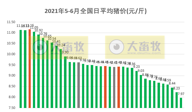 2021.6.6-今日猪价东北跌破7元，跌得养猪人心慌慌！为什么海南猪价会高出一大截？正邦表示不会刻意调整生猪出栏计划从5方面降成本