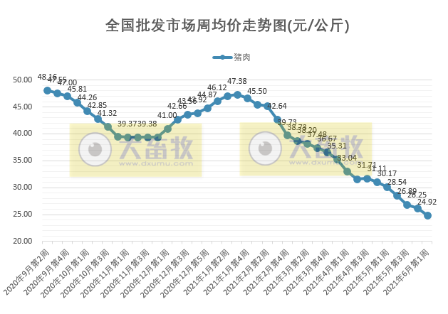 2021.6.6-今日猪价东北跌破7元，跌得养猪人心慌慌！为什么海南猪价会高出一大截？正邦表示不会刻意调整生猪出栏计划从5方面降成本