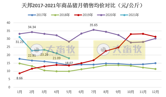 天邦股份：5月生猪销售均价同比下跌近6成，均重同比增长近6成