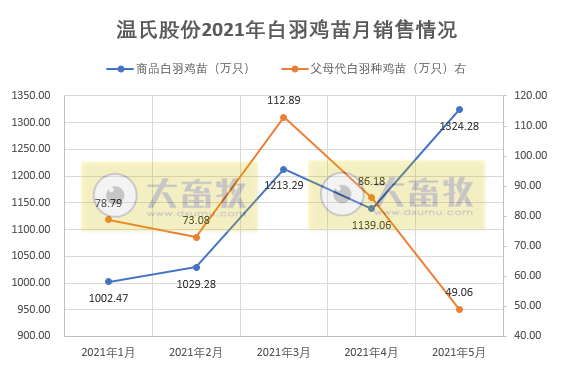 温氏股份：前5个月肉鸡销售约4亿只，收入同比增长33%