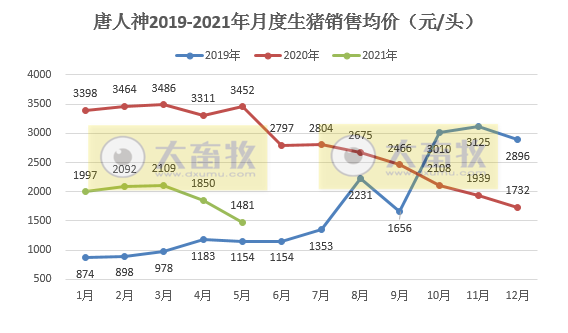 唐人神：5月生猪销售均价同比下降近6成，前5月生猪销量同比增长220%