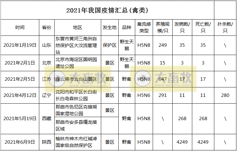 陕西省榆林市发生一起H5N8亚型高致病性禽流感疫情,死亡4249只野禽
