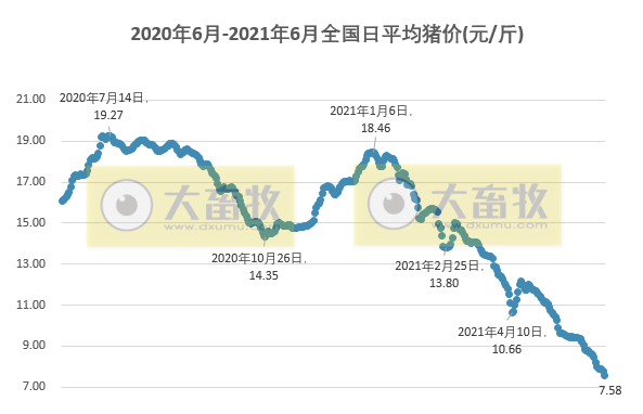 2021.6.11-今日猪价继续下行，19省全面进入7元时代，养猪业持续亏损3周，牧原种猪价2300元起引发热议，天康前5个月生猪销量同比增长91%