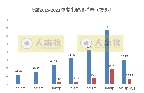 天康生物：5月猪价跌至8.7元/斤，环降17%；前5个月生猪销量超60万头，同比增长91%
