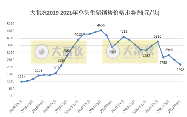 大北农:5月生猪销量环增9%,均价下降16%,前5个月生猪销量增长188%