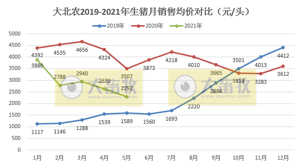 大北农:5月生猪销量环增9%,均价下降16%,前5个月生猪销量增长188%
