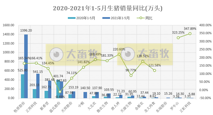 15家上市猪企5月生猪销售情况，猪价连跌4个月，也阻止不了猪企前行的步伐