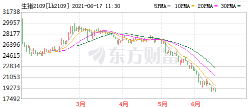 2021.6.17-今日猪价下行,近2年来最低,猪粮比跌破6,生猪业出现明显亏损,发改委发布三级预警,新五丰逆势拟4.55亿元新建生猪项目