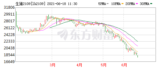 2021.6.18-今日猪价再次全面下跌,多地进入6元时代,生猪业连亏4周,5月全国生猪屠宰量同增44%,生猪期货合约价再创新低