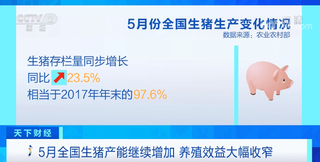 猪肉价格连降20周,5月生猪屠宰量同增44%,发改委发布三级预警,今年会启动储备机制吗?