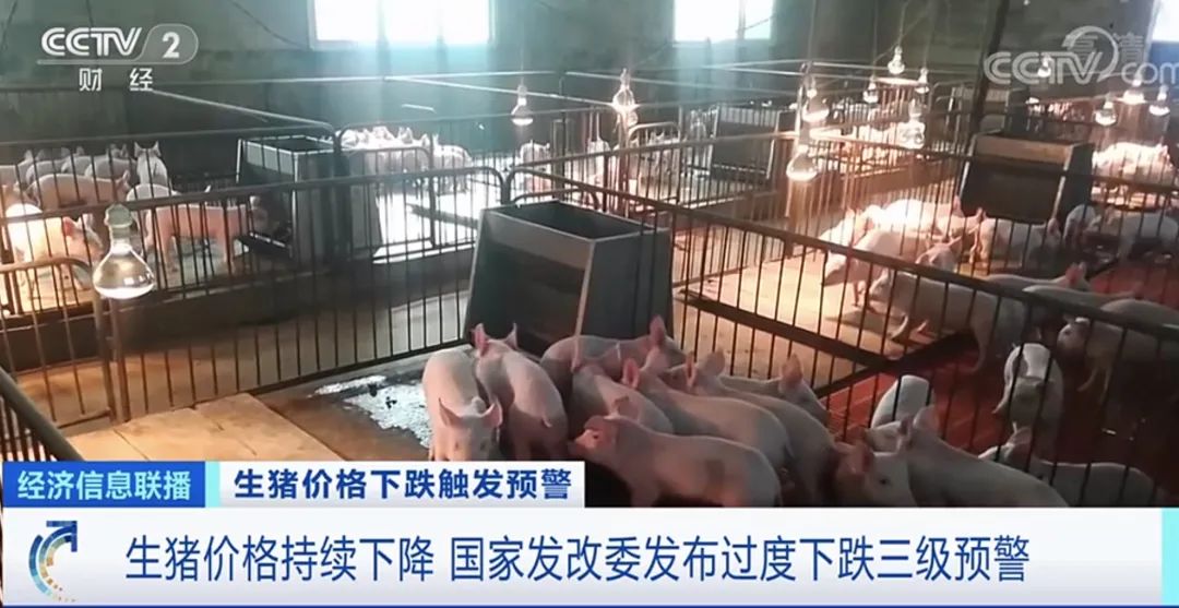 猪肉价格连降20周,5月生猪屠宰量同增44%,发改委发布三级预警,今年会启动储备机制吗?