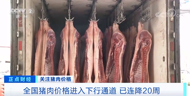 猪肉价格连降20周,5月生猪屠宰量同增44%,发改委发布三级预警,今年会启动储备机制吗?