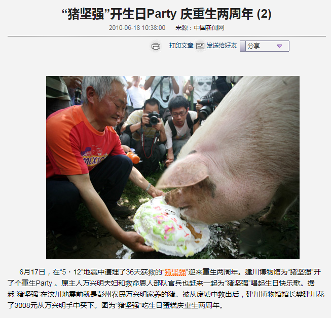 经历过512汶川大地震的百岁“猪坚强”去世