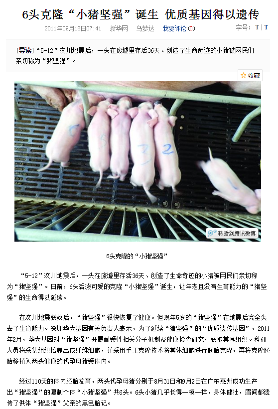 经历过512汶川大地震的百岁“猪坚强”去世