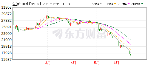2021.6.21-今日猪价东北全面止跌上涨，专家称降成本的同时不能忽略防控病疫，正邦称暂时不会进入屠宰端，温氏当前目标是力求在降本前提下保证出栏量