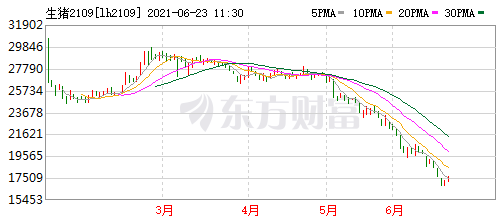 2021.6.23-今日猪价9省上涨，仔猪价格极速下跌，较高位腰斩，屠企开始增加国产猪肉的冻品库存，温氏多措并举应对猪价下行