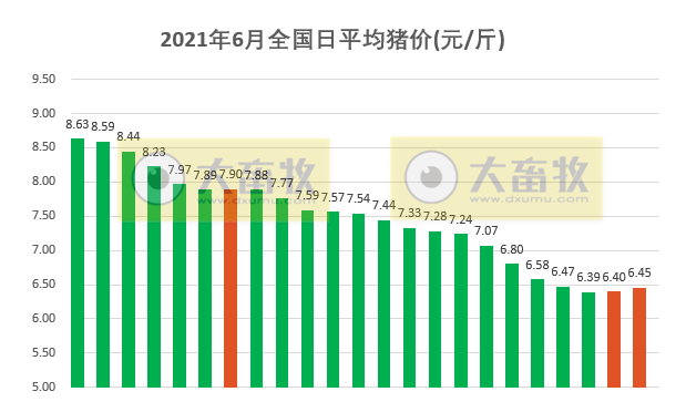 2021.6.24-今日猪价21省上涨,新一轮上涨开始了吗?生猪板块和期货涨跌分化,新希望又收购一家饲企,年内第6家;东瑞股份对降本增效做了哪些措施?