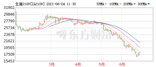 2021.6.24-今日猪价21省上涨,新一轮上涨开始了吗?生猪板块和期货涨跌分化,新希望又收购一家饲企,年内第6家;东瑞股份对降本增效做了哪些措施?