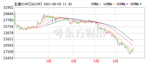 2021.6.25-今日猪价24省上涨,大猪消化完或需求增加?温氏种猪生产模式有较大的变化,新希望在广东规划400万头生猪产能