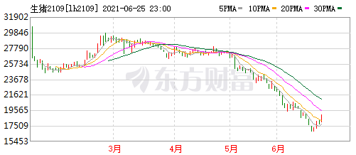 2021.6.26-今日猪价全面飘红，上涨幅度扩大，能持续多久？广东养猪协会发出四大倡议；金新农生猪期货平仓亏2千多万