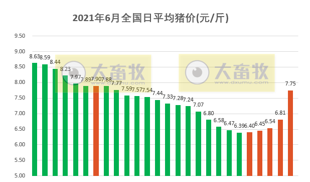 2021.6.27-今日猪价火箭式暴涨,各地最高猪价均涨1.2元一夜进入8元时代,前5个月全国已淘汰345万头能繁母猪同增108%